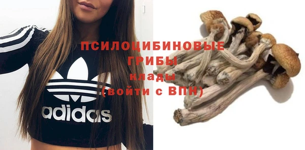 молекула духа Алексеевка