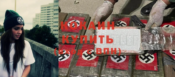 индика Алзамай