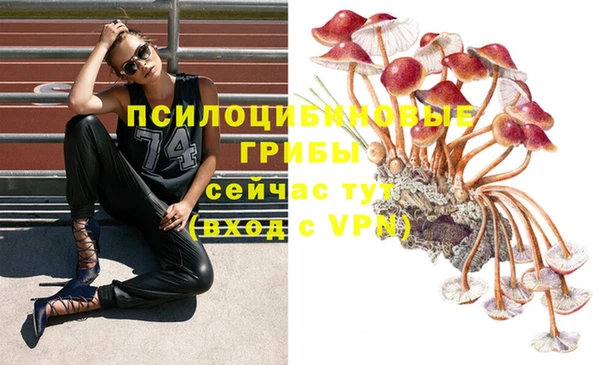 молекула духа Алексеевка