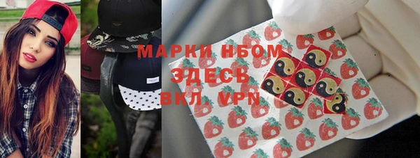 индика Алзамай