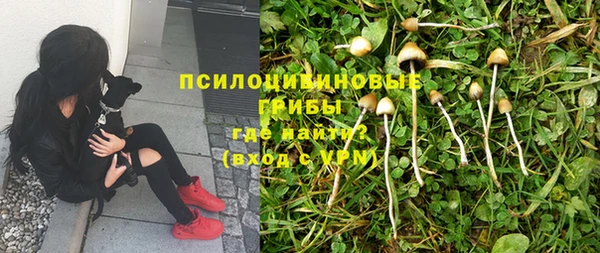 mix Алексин