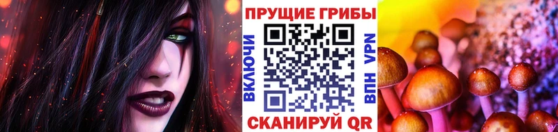 Псилоцибиновые грибы Psilocybine cubensis  Коркино 
