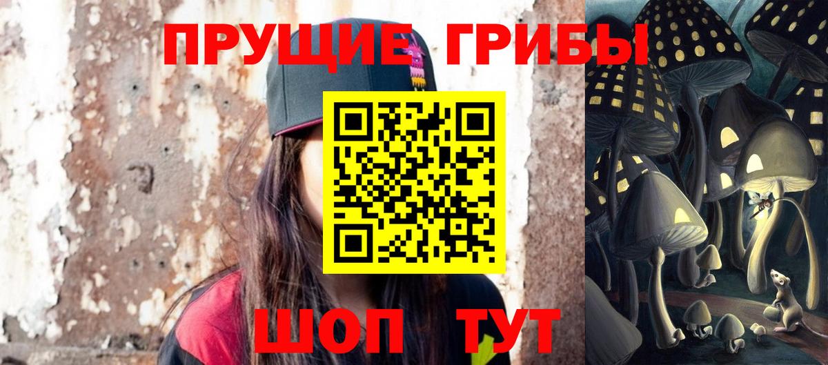 Псилоцибиновые грибы GOLDEN TEACHER  Галлюциногенные грибы GOLDEN TEACHER  Вход с VPN  Коркино 